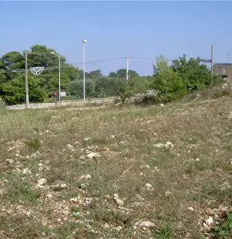Foto annuncio 8