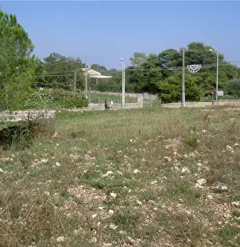 Foto annuncio 9