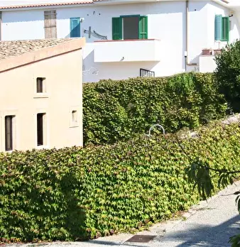 Foto annuncio 4