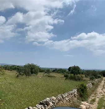Foto annuncio 4