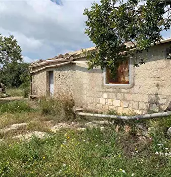 Foto annuncio 5