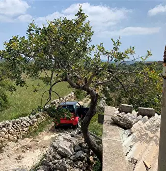 Foto annuncio 6