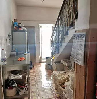 Foto annuncio 3