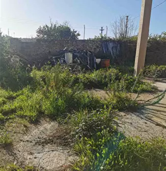 Foto annuncio 6