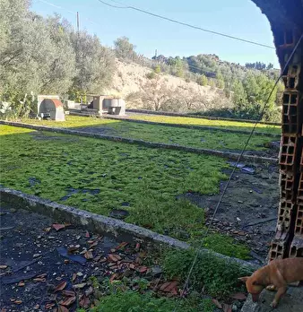 Foto annuncio 7