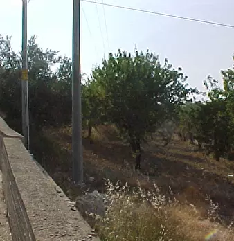 Foto annuncio 5