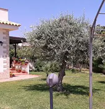 Foto annuncio 3