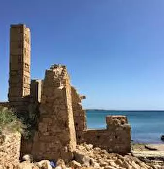 Foto annuncio 6
