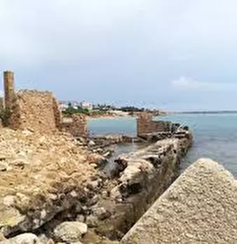 Foto annuncio 8