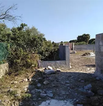 Foto annuncio 7