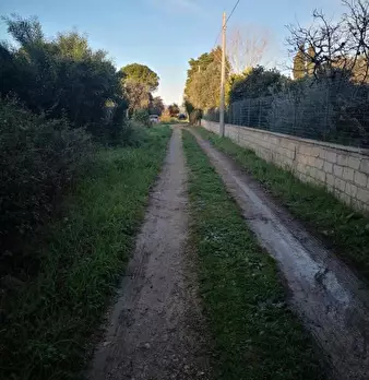 Foto annuncio 9