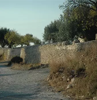 Foto annuncio 10