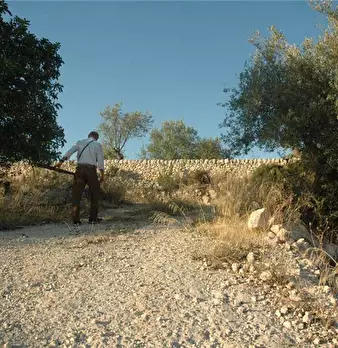 Foto annuncio 11
