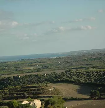 Foto annuncio 12