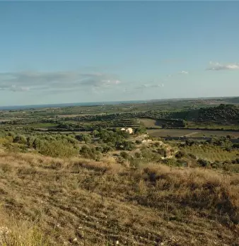 Foto annuncio 14