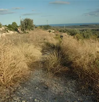 Foto annuncio 4