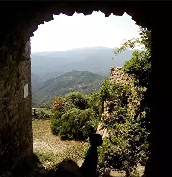 Foto annuncio 14