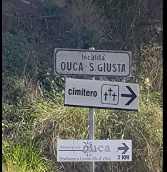 Foto annuncio 15