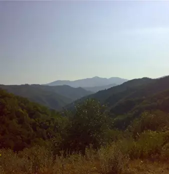 Foto annuncio 4
