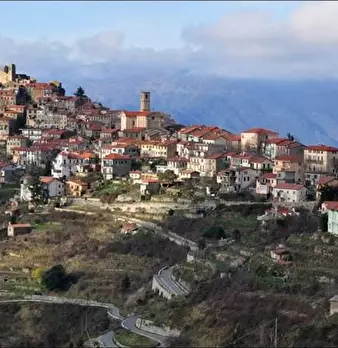 Foto annuncio 9