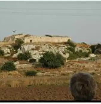 Foto annuncio 3