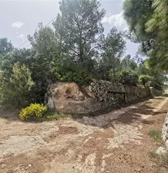 Foto annuncio 2