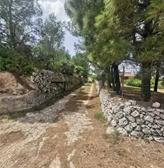 Foto annuncio 3