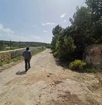 Foto annuncio 4