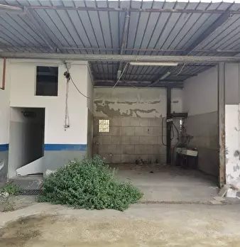 Foto annuncio 10