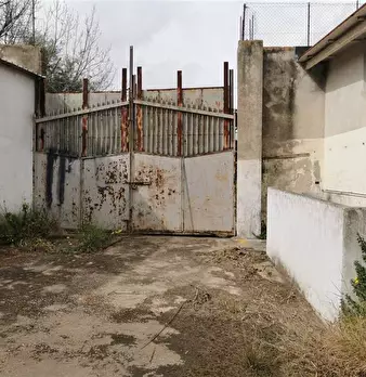 Foto annuncio 11