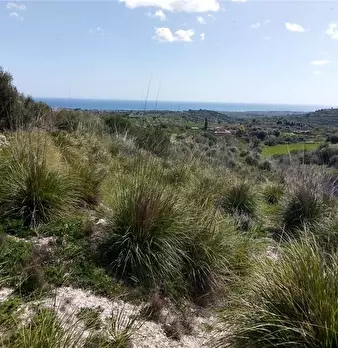 Foto annuncio 10