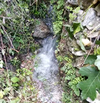 Foto annuncio 13