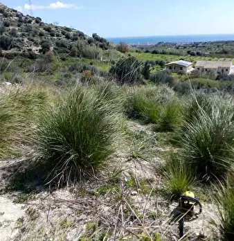Foto annuncio 3