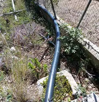 Foto annuncio 7