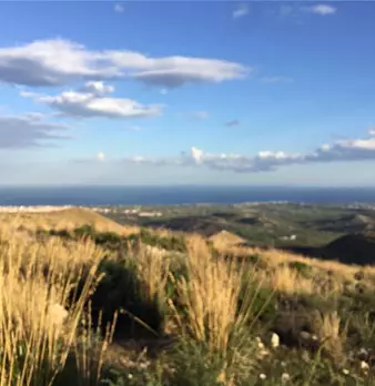 Foto annuncio 11