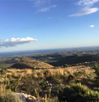 Foto annuncio 4