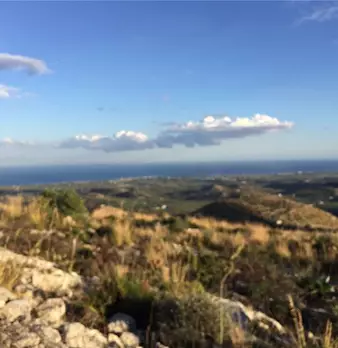 Foto annuncio 7