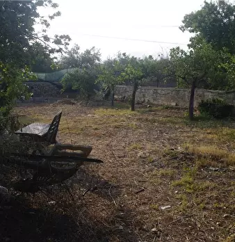 Foto annuncio 5
