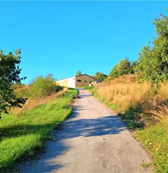 Foto annuncio 5