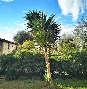 Foto annuncio 3