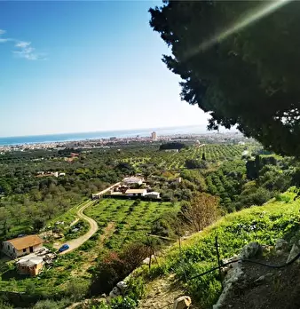 Foto annuncio 4