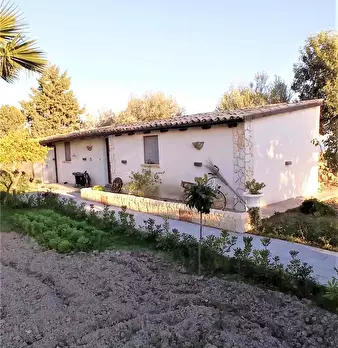 Foto annuncio 5