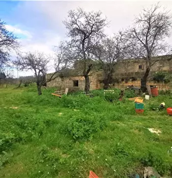 Foto annuncio 10