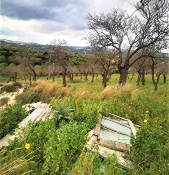 Foto annuncio 11