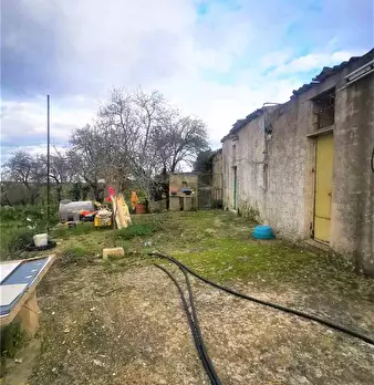 Foto annuncio 15
