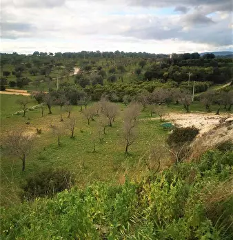 Foto annuncio 4
