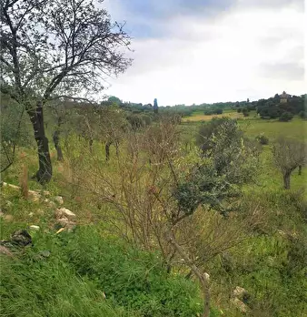Foto annuncio 8