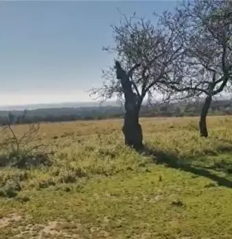 Foto annuncio 4