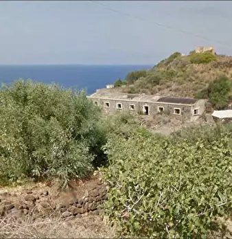 Foto annuncio 7
