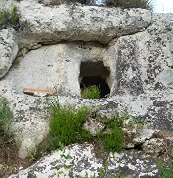 Foto annuncio 5